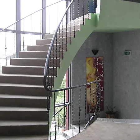 Delpack Ξενοδοχείο Τιμισοάρα