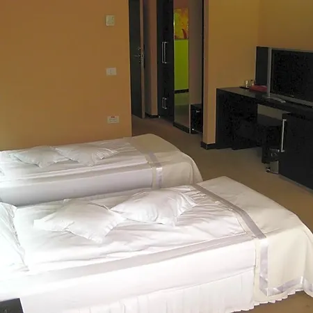 Delpack 4* Timisoara