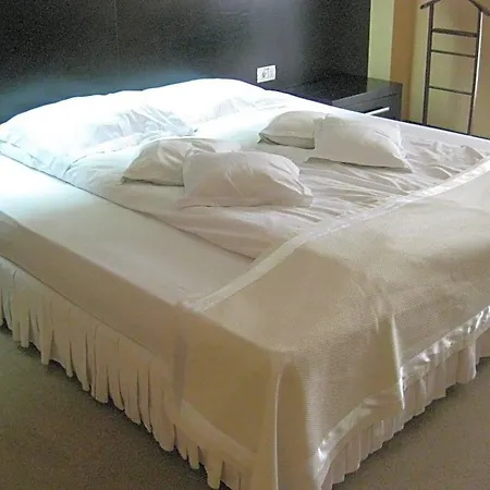 Hotel Delpack Timisoara