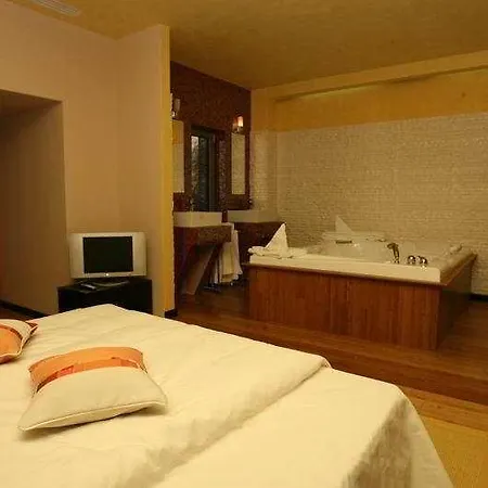 Ξενοδοχείο Delpack Τιμισοάρα