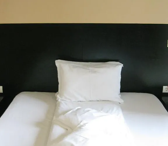 Delpack 4* Timisoara