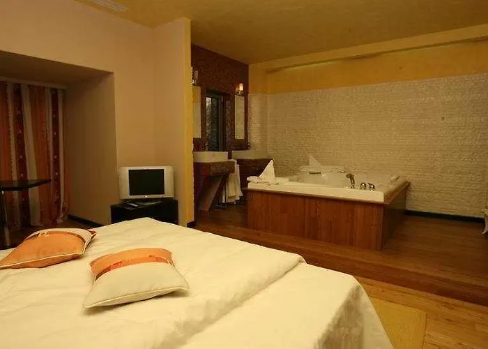 Hotel Delpack Timişoara